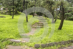 Nature or urban tranquil background featuring detail of small city park in Tokyo