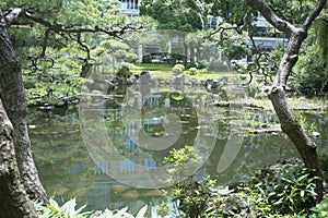 Nature or urban tranquil background featuring detail of small city park in Tokyo