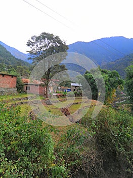 Nature vally farming himachal pradesh