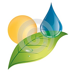 The nature it is of the vegetation of the sun and the water - Logo