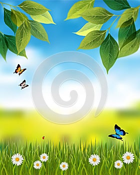 Nature vertical background with spring or summer scene