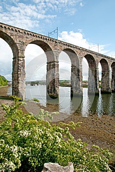 Nature of the viaduct