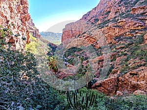 Nature View. Canyon In Guaymas Sonora, Mexico photo