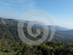 Nature view green hill forest monutain nature background photo