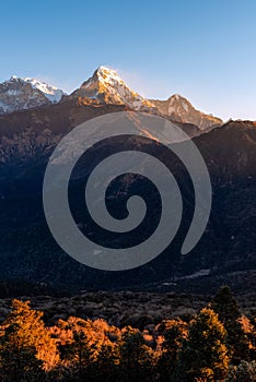 Nature view of Himalayan mountain range at Poon hill view point