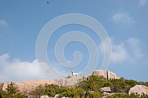 a nature view of Po Toi Islands hk