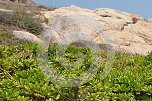 a nature view of Po Toi Islands hk