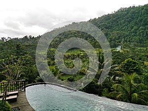 Nature view with pool in Wapa Di Ume, Bali