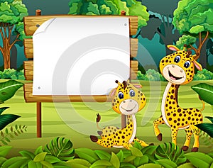 The nature view with the wooden board blank space and cute baby giraffe