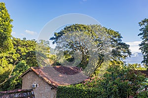 Nature at village Abraao of tropical island Ilha Grande Brazil