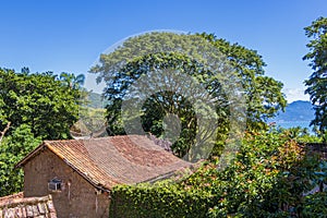 Nature at village Abraao of tropical island Ilha Grande Brazil