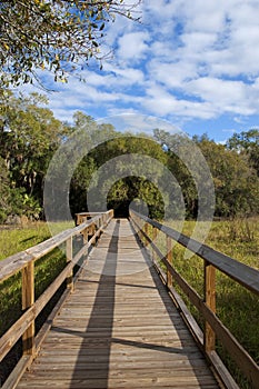 Nature Walk Bridge