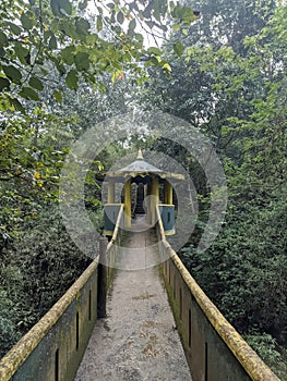 Nature walk on bridge pathway, Kulgi, Dandeli, Karnataka