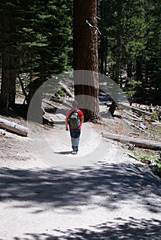 Nature Walk or Hiker