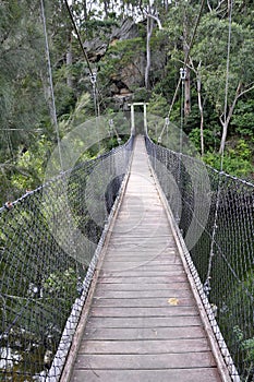 Nature Walk, Nowra