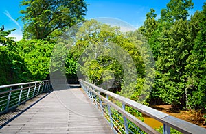 Nature Walk Singapore