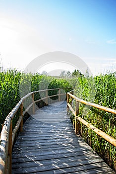 Nature Walk Trail