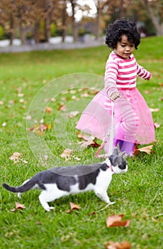 Nature, walking and girl with kitten in a garden on the grass on a summer weekend together. Happy, sunshine and portrait