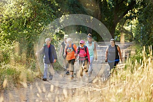 Nature, walking and senior group hiking in forest for exercise, health and wellness with cardio outdoor workout. Fitness