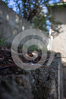 Nature Walls and Textures