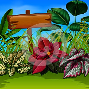 An nature walpaper with the wooden board and leaves