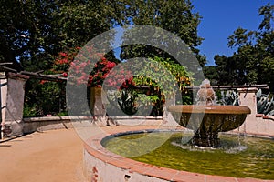 Nature with Water Fountain