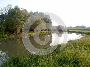 Nature water river kolubara forests coast