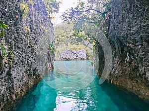Nature water, tual, Baer island, orchid, sea, beatifull, nature, water blue, Maluku tenggara, sea, water falls,pearl, fish,