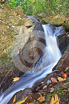 Nature waterfall in deep forest