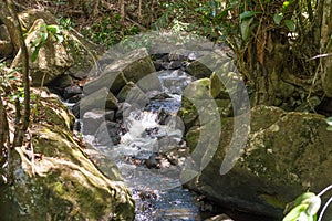 Nature with waterfall and stream in Itacare
