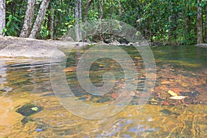 Nature with waterfall and stream in Itacare