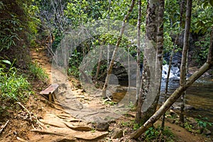 Nature with waterfall and stream in Itacare