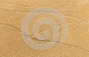 Nature wave pattern on sand beach