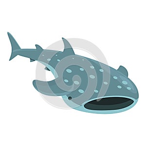 Nature whale shark icon cartoon vector. Ocean fish