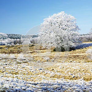 Príroda v zime, francúzsko 