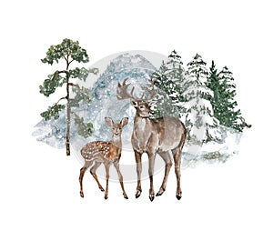 Nature in winter illustration with hand drawn deer, doe, falling snow, pine trees and mountain. Watercolor snowy forest landscape