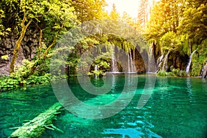 Nature wonderland, lake waterfall in national park on a sunny summer day with sunlight. Waterfalls in deep forest, plitvice