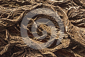 Nature wooden background