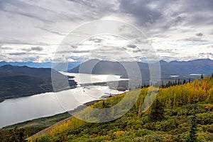 Nature in Yukon, Canada