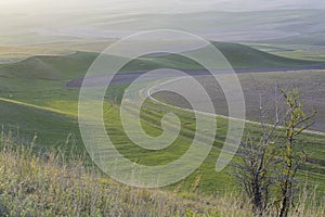 Cultivated field on the hill. See the sun before sunset.