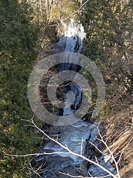 Natures beautiful creations