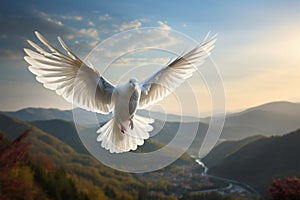 Natures messenger White dove in flight, embodying hope and purity