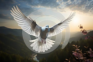 Natures messenger White dove in flight, embodying hope and purity