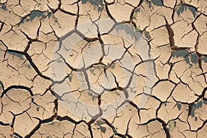 Natures plea Barren landscape with deeply cracked and dry soil