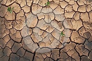 Natures plea Barren landscape with deeply cracked and dry soil photo