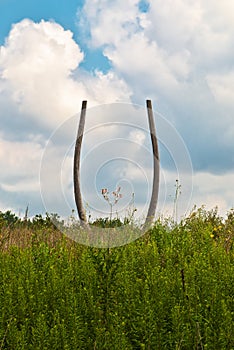 Natures Tuning Fork