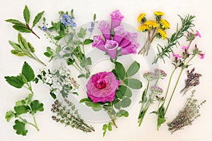 Naturopathic Herbs and Flowers photo