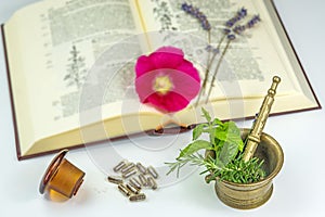 Naturopathy with herbs photo