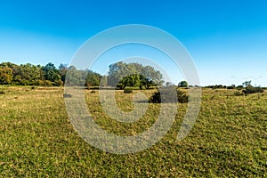 Naturschutzgebiet Grosser Weidenteich near Plauen city in Germany photo