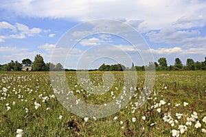 Natuurgebied Laegieskamp Nederland, Nature reserve Laegieskamp N